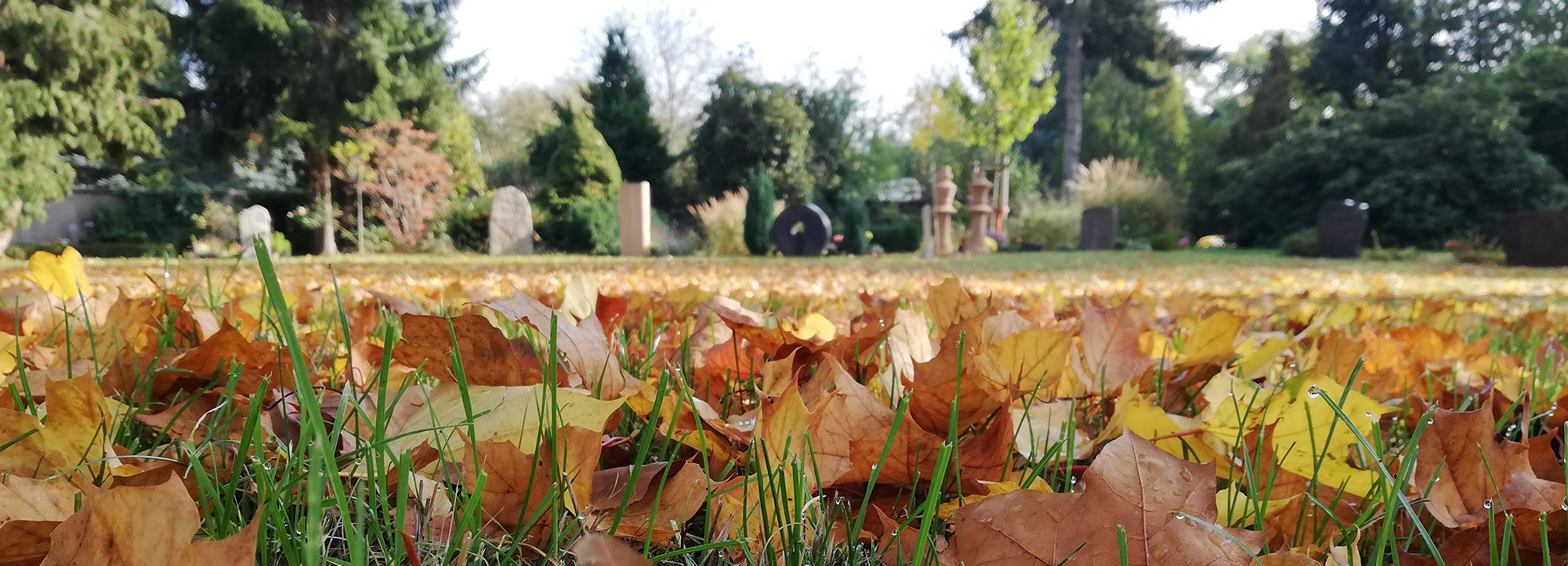 Friedhof Hartha