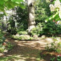 Friedhof Hartha - Naturnahe Baumbestattung